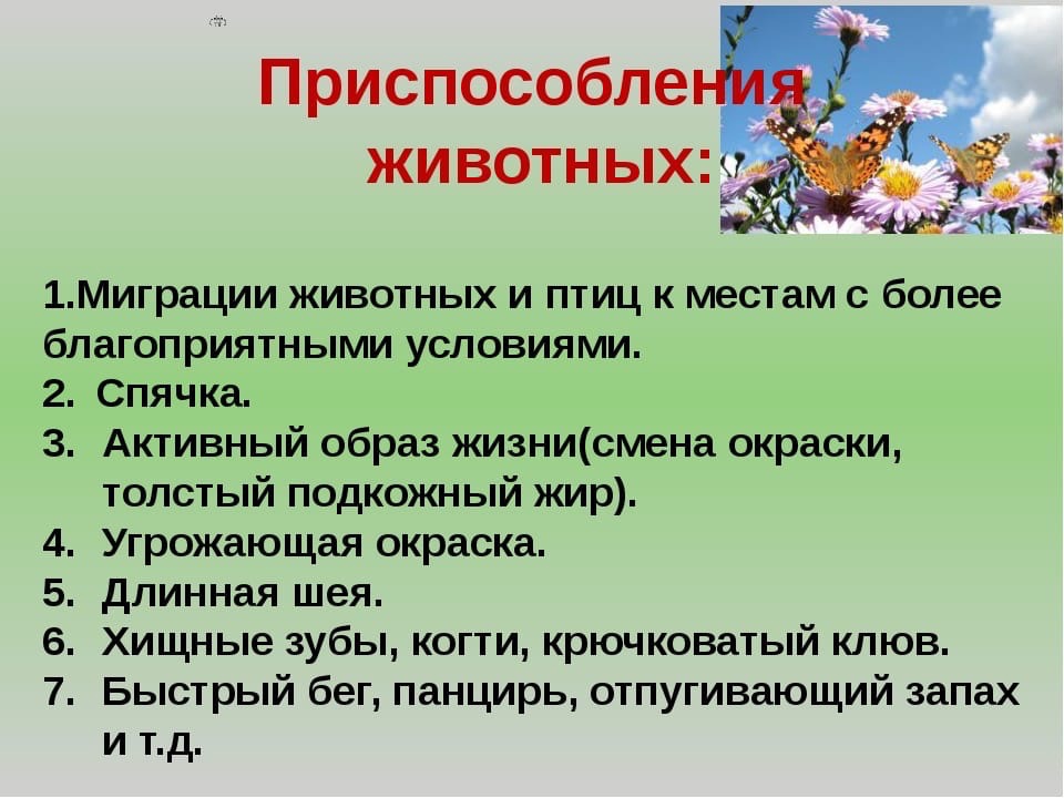 Проект на тему адаптация насекомых к сезонным изменениям в природе 9 класс биология